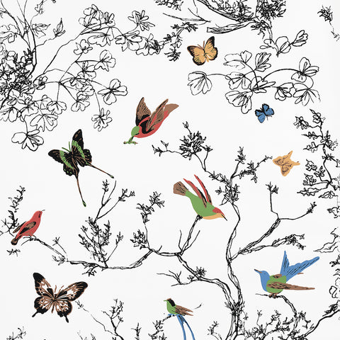 Schumacher "Birds & Butterflies" Wallpaper