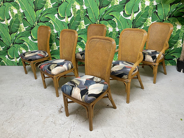 Pencil Reed Rattan and Cane Dining Chairs