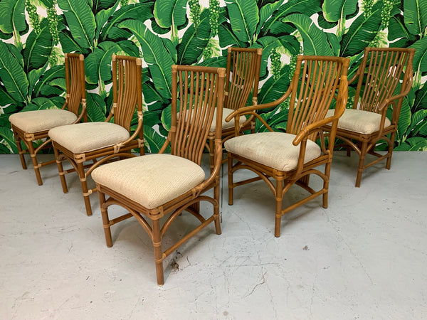 Rattan Bentwood Dining Chairs, Set of 6 front view