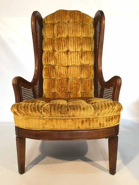 Lewittes Tufted Velvet Cane Wingback Chair front view